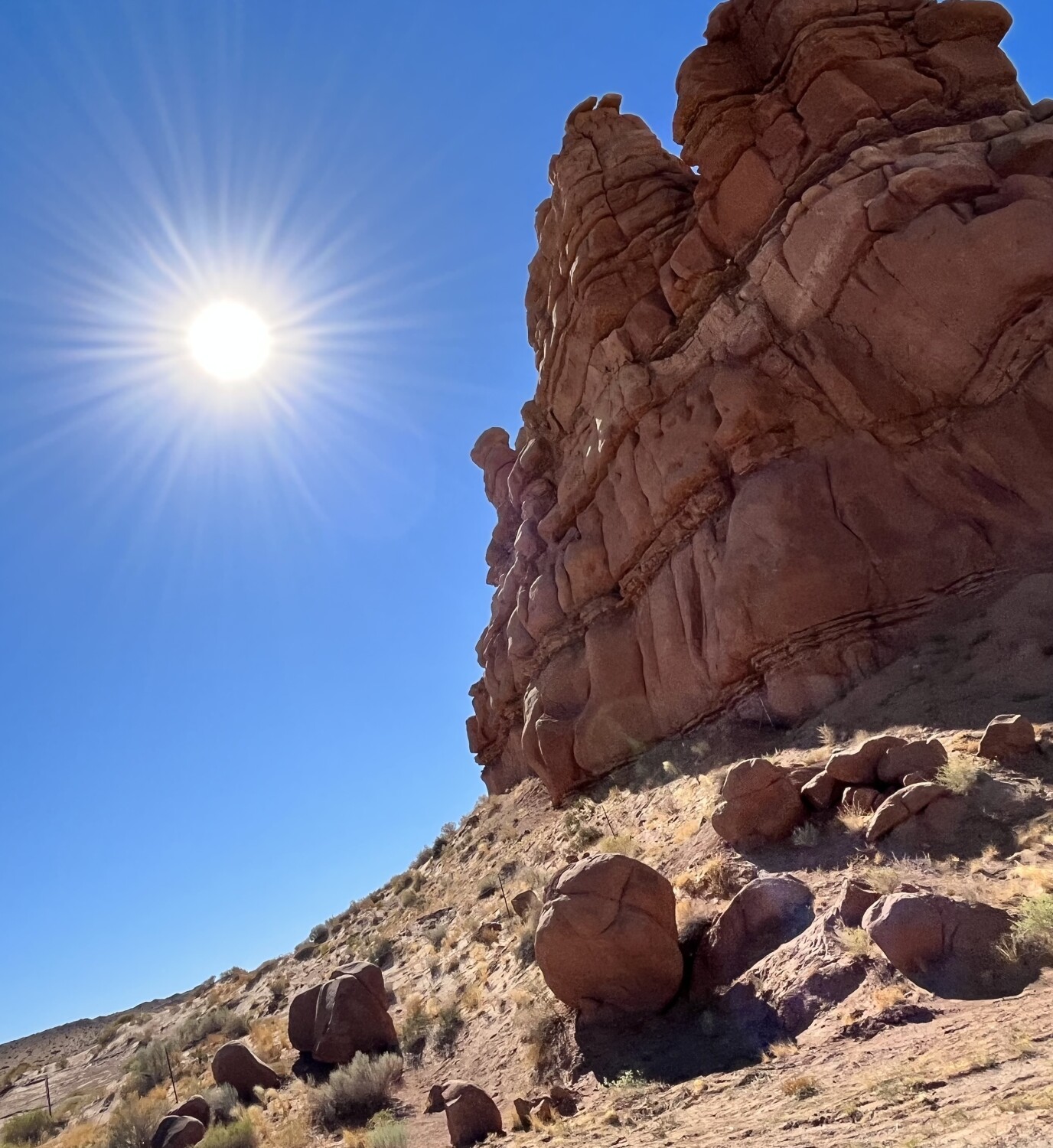 Sunny day in the desert