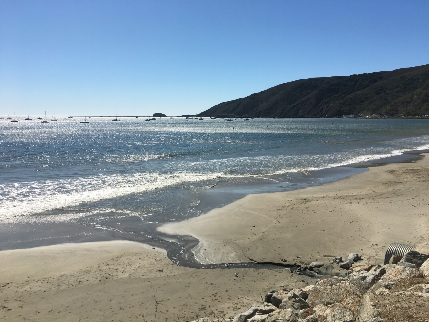 Afternoon at the beach