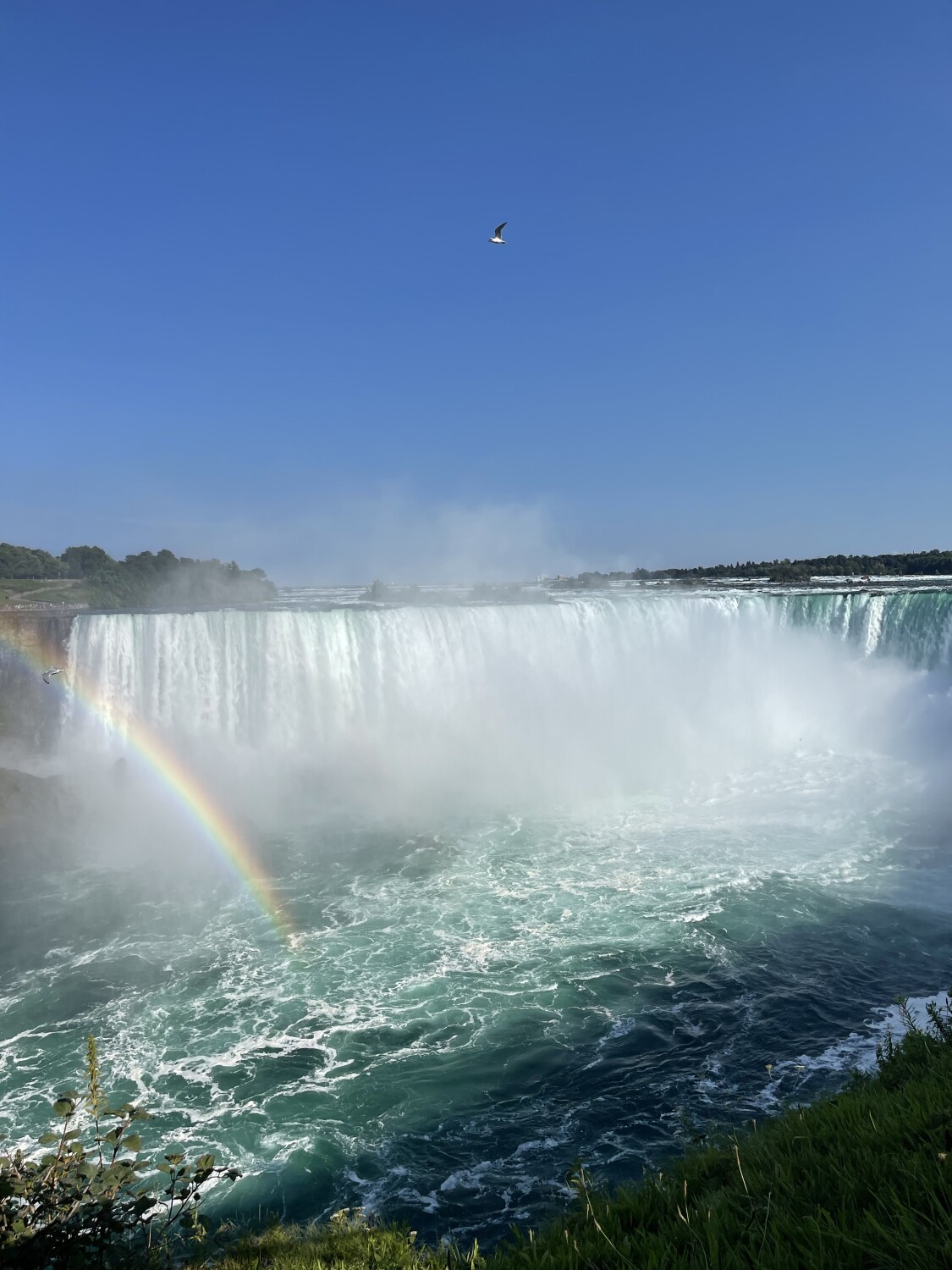 Rainbow at Niagara