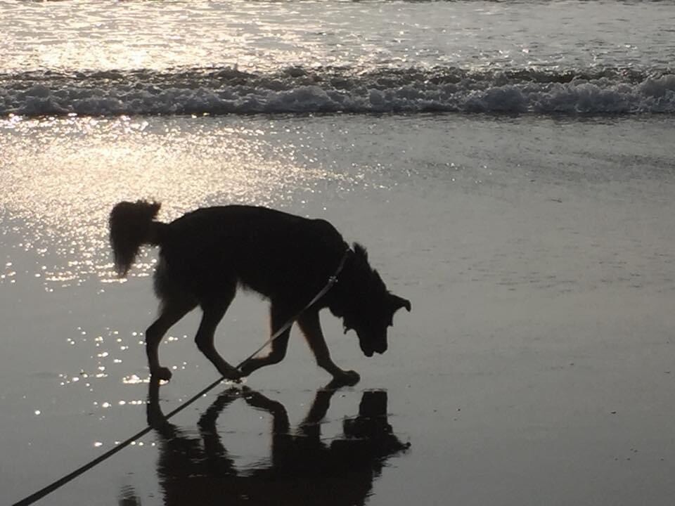 Shadow with his Shadow