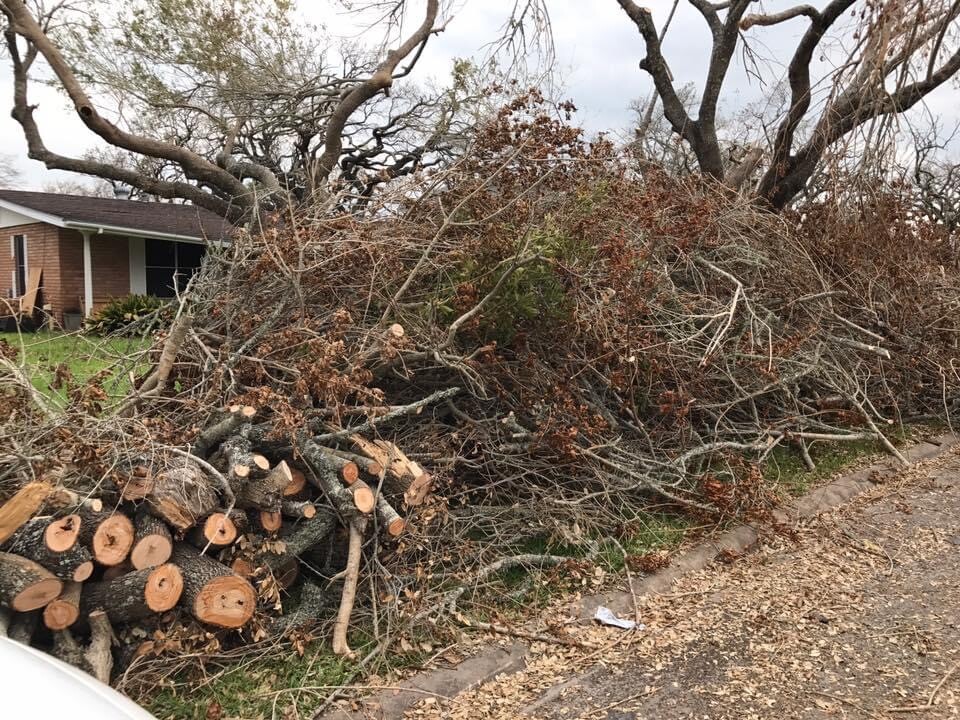 After Hurricane Harvey
