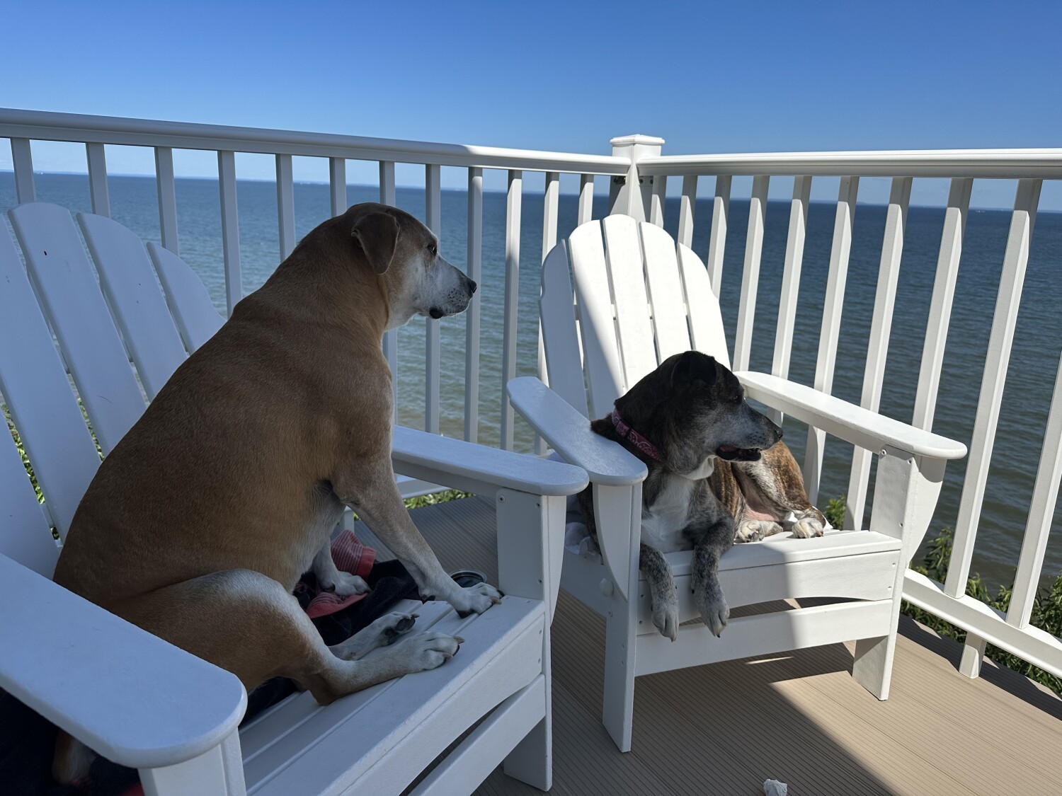 When do we set sail honey??