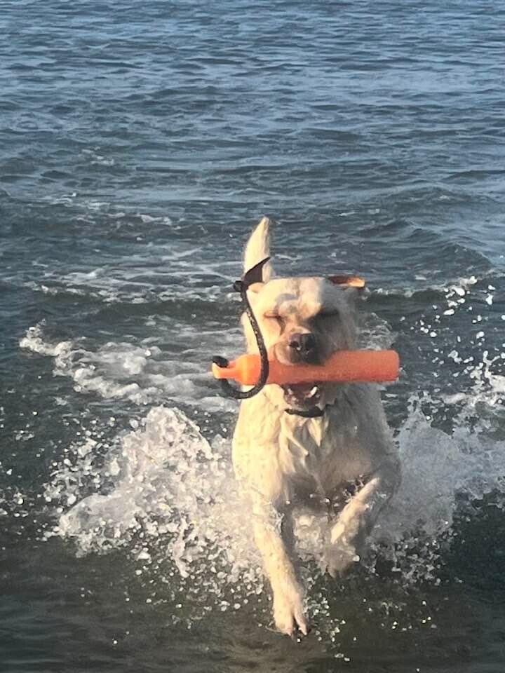 Splashing at Cape Lookout