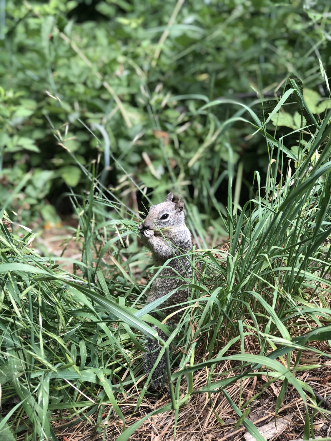 The Beauty of nature