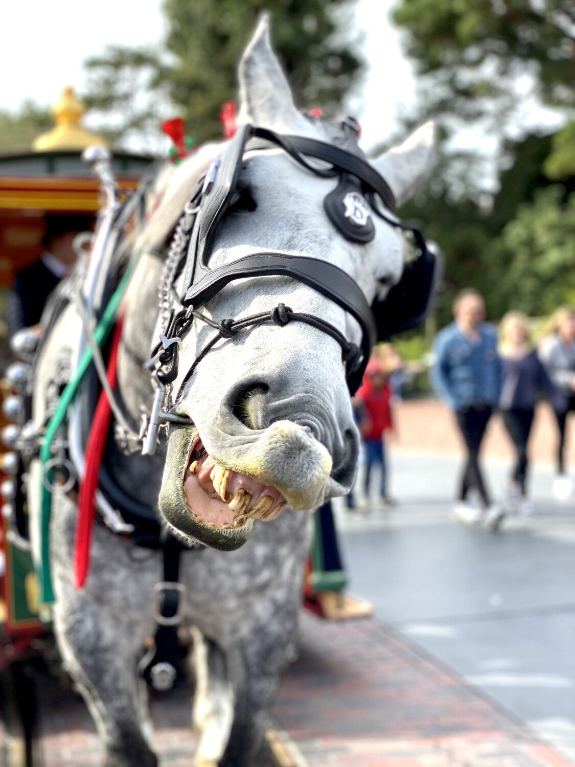 Disney Happy Horse