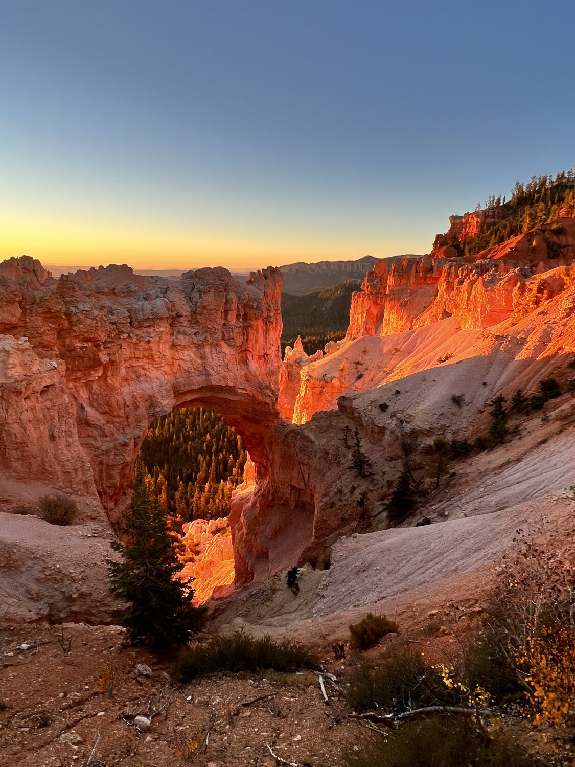 Bryce Canyon