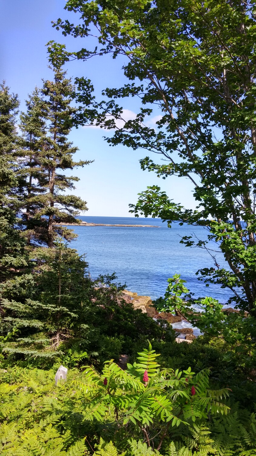 A View Out To Sea and Beyond