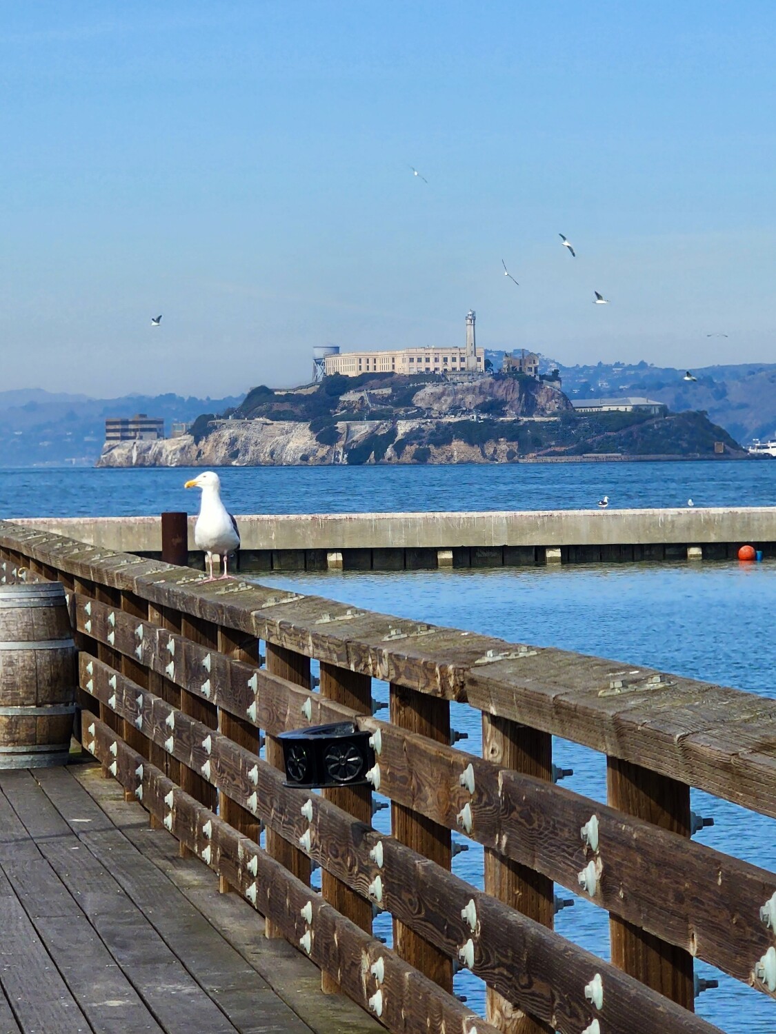 Alcatraz Island