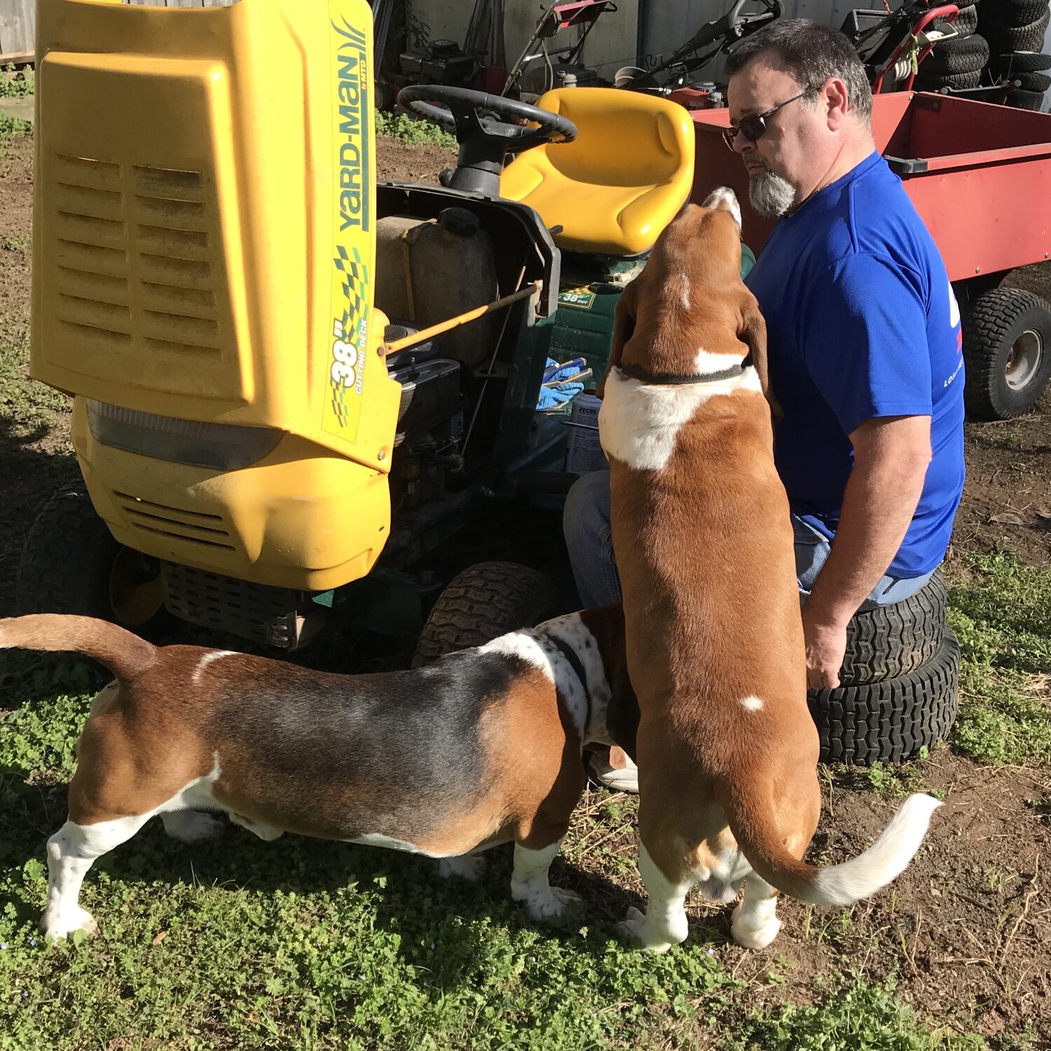 Daddy’s Little Helpers