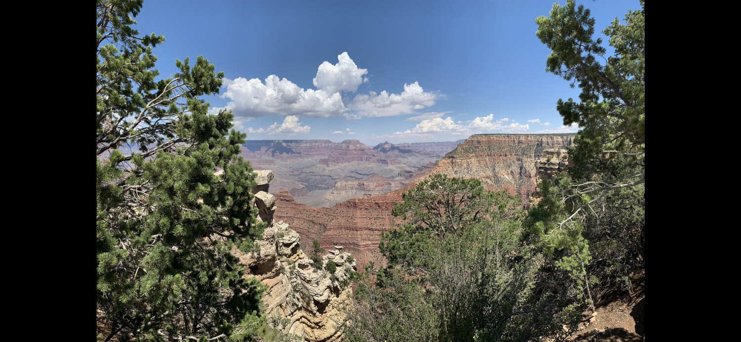 Our God is a master artist!