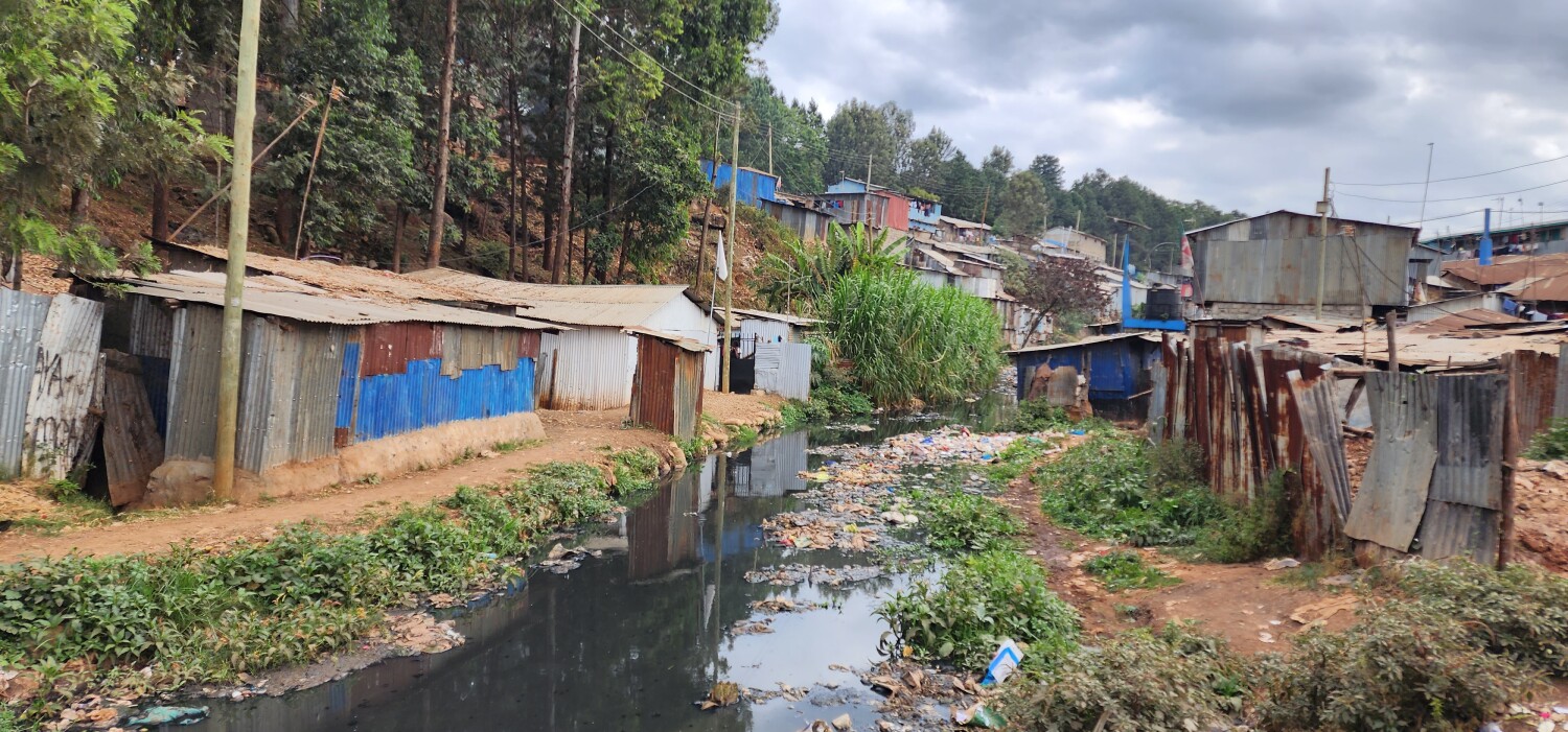 Beauty within the harsh reality