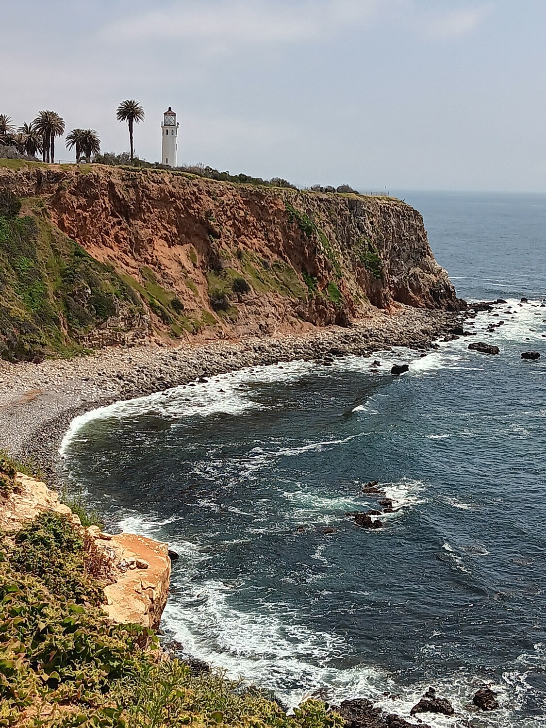 Palos verdes