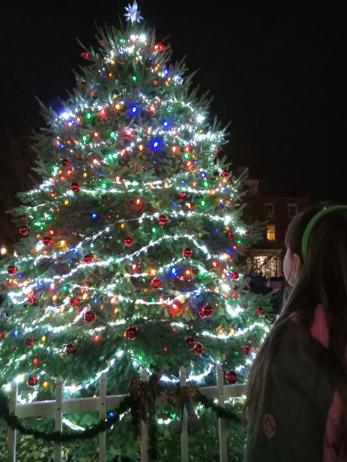 The Magic of Christmas