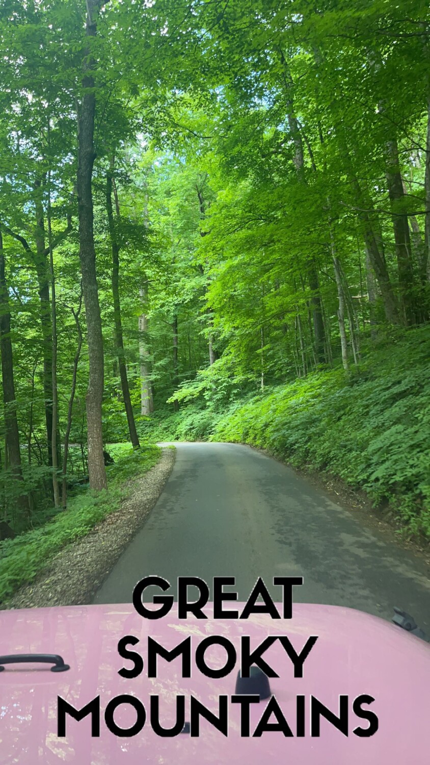 Great Smoky Mountains