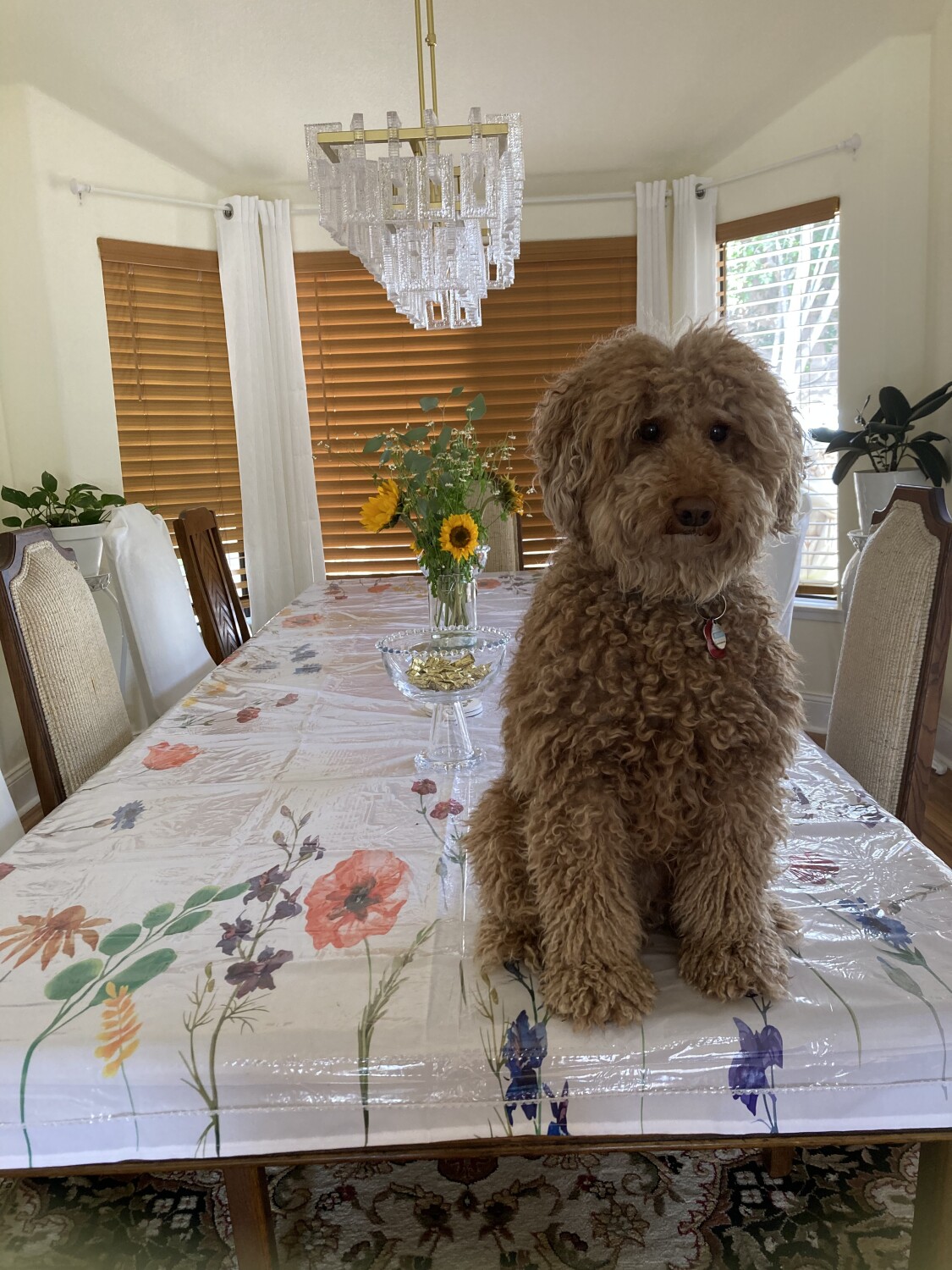 Getting the best view