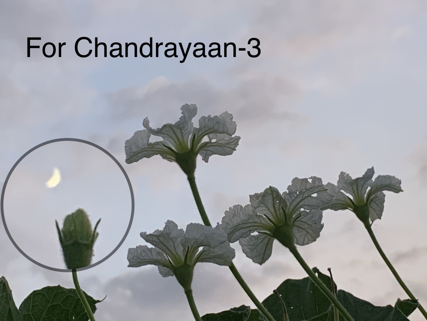 For Chandrayaan-3