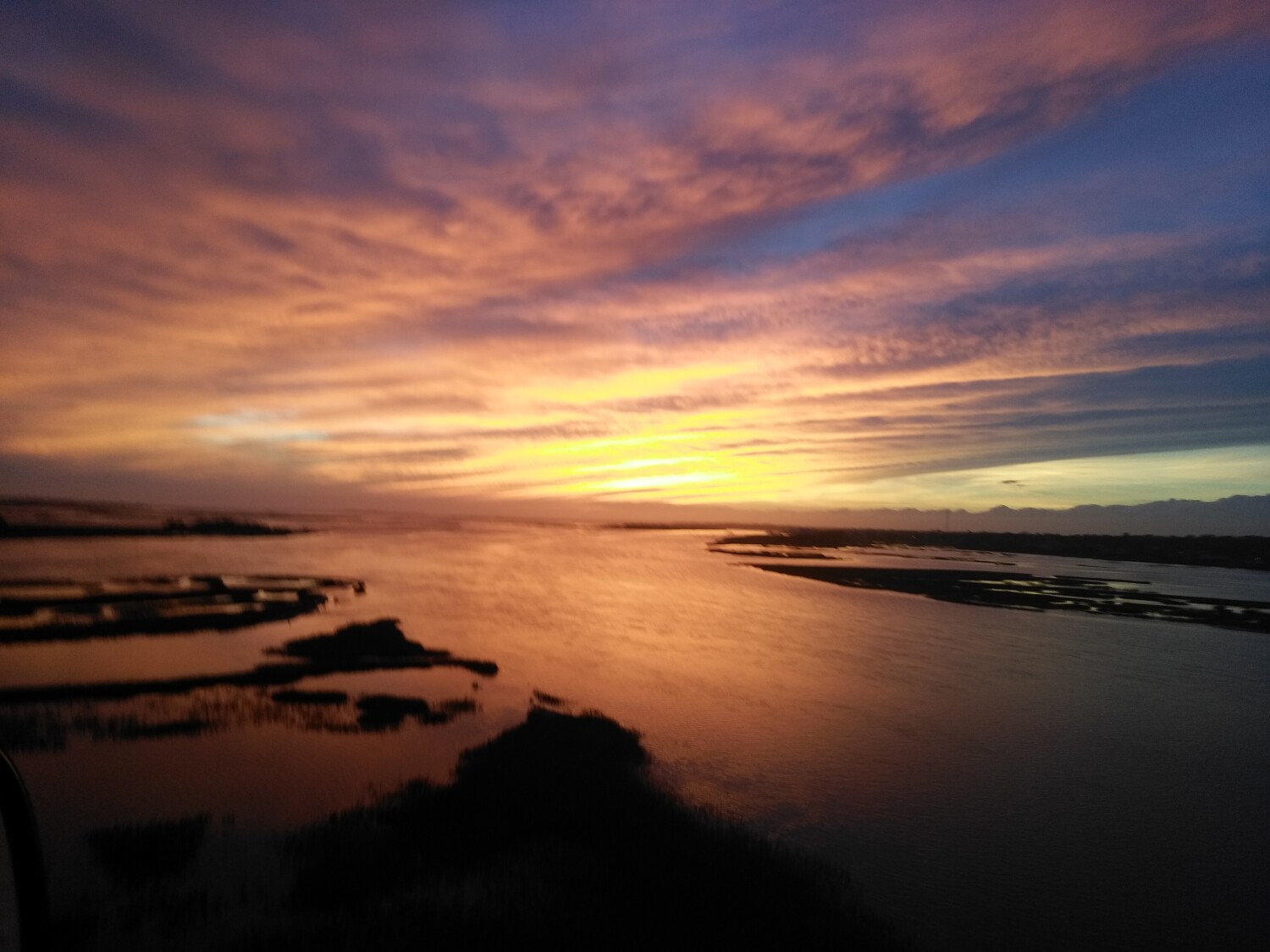 Beauty after the storm