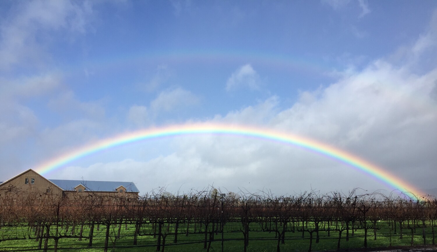 Napa Valley rainbow