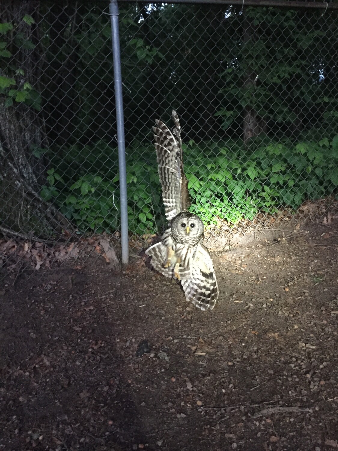 A little help needed