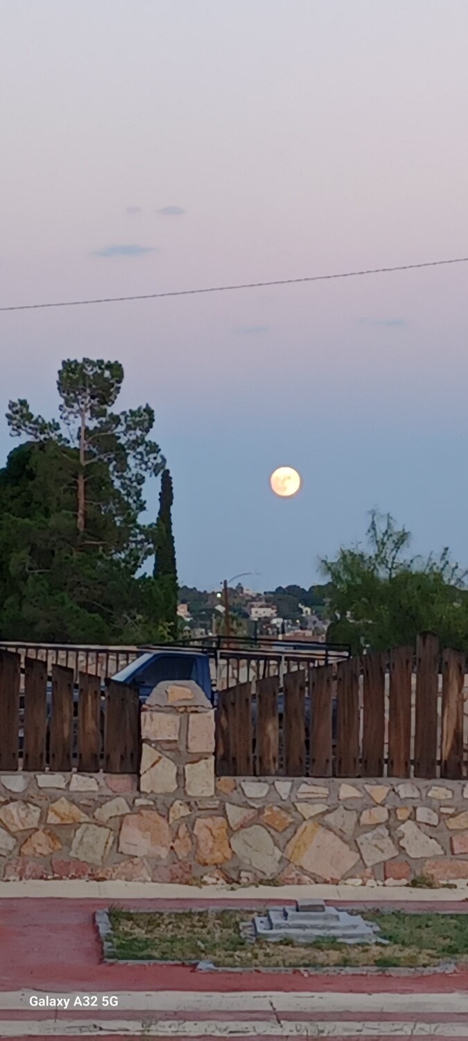 Cuando llegas a casa