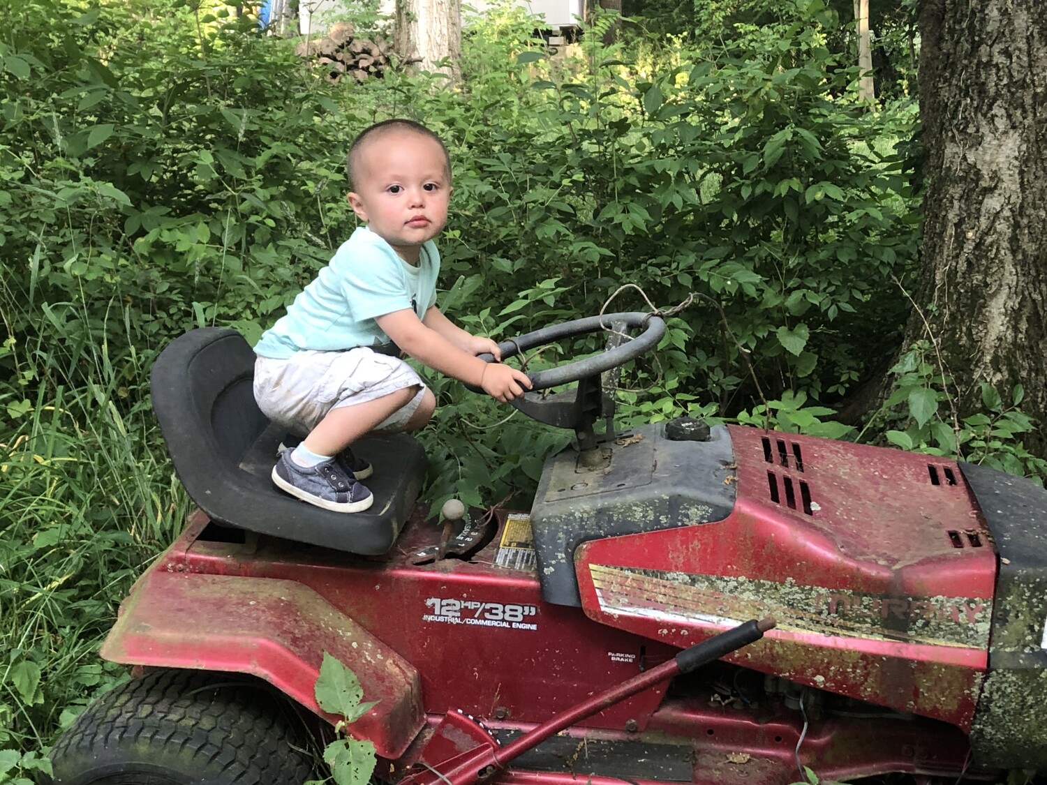 My grandson Augustus