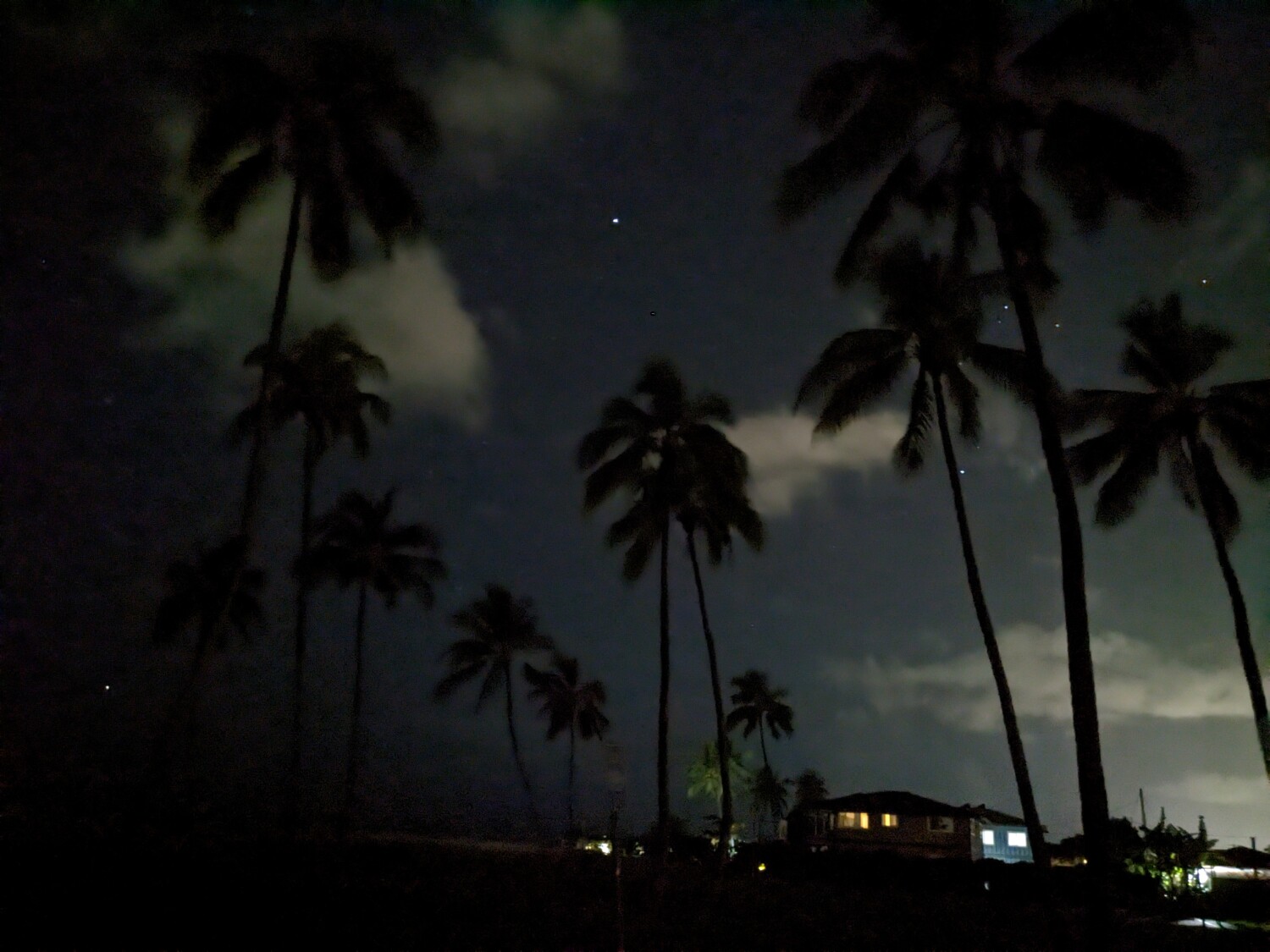 Hawaiian Nights