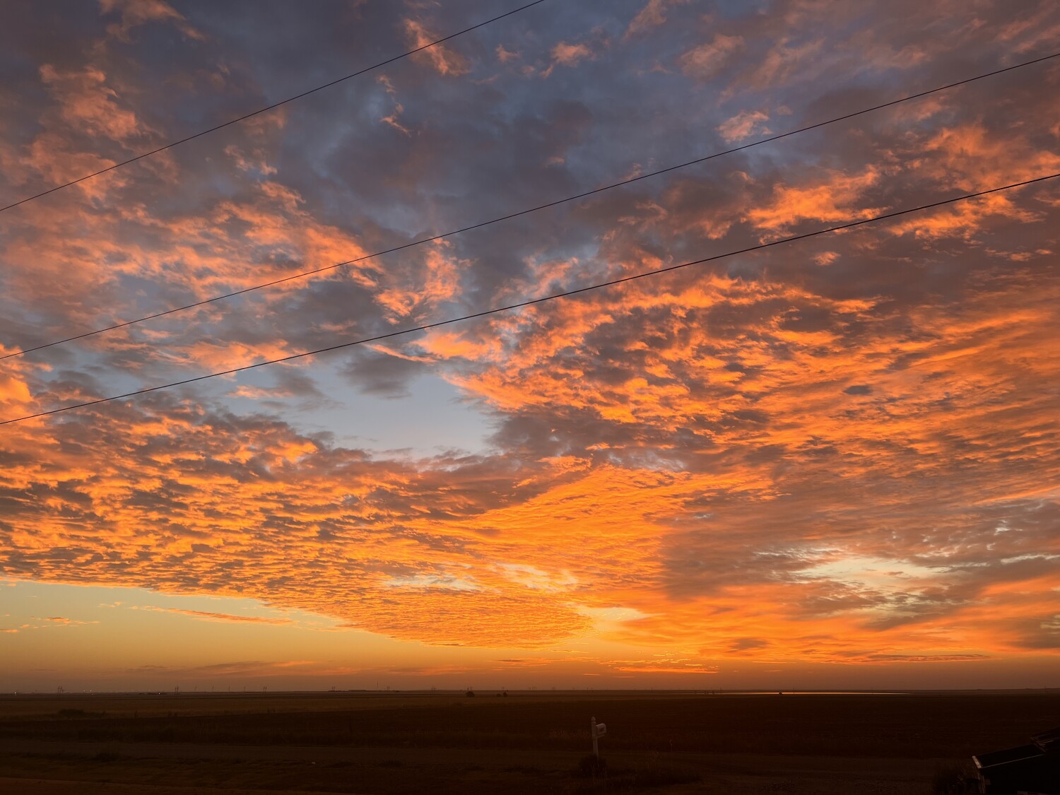Amarillo Sunrise