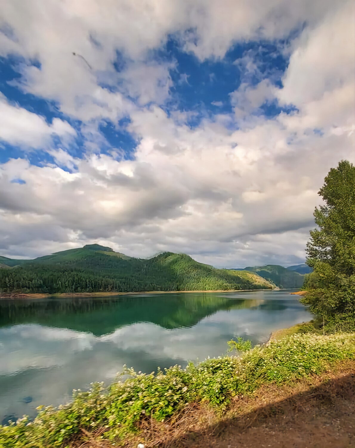 Willamette National Forest