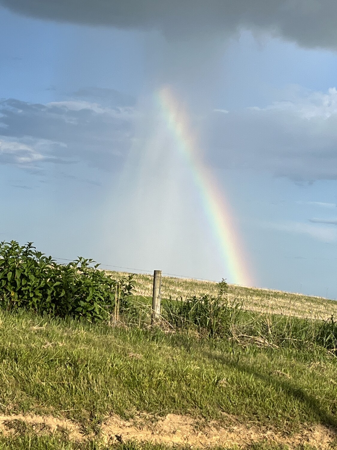 “ Little Bit of this and a Little Bit of that”