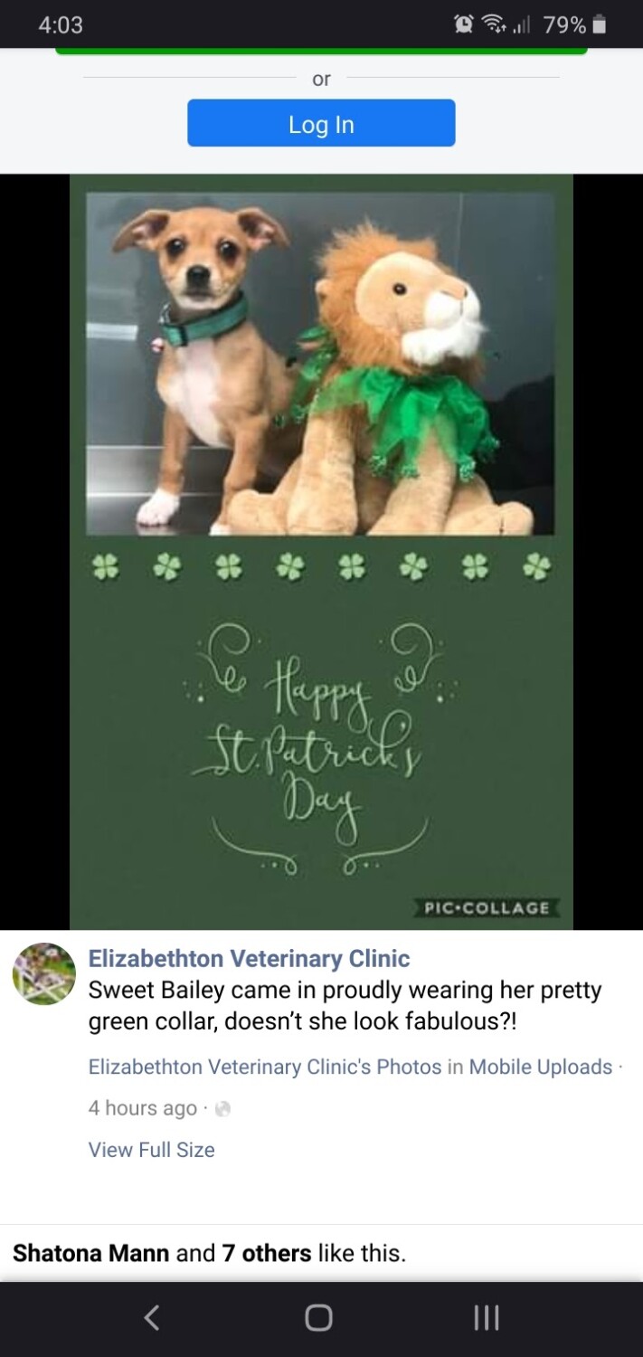 Bailey's first Vet visit