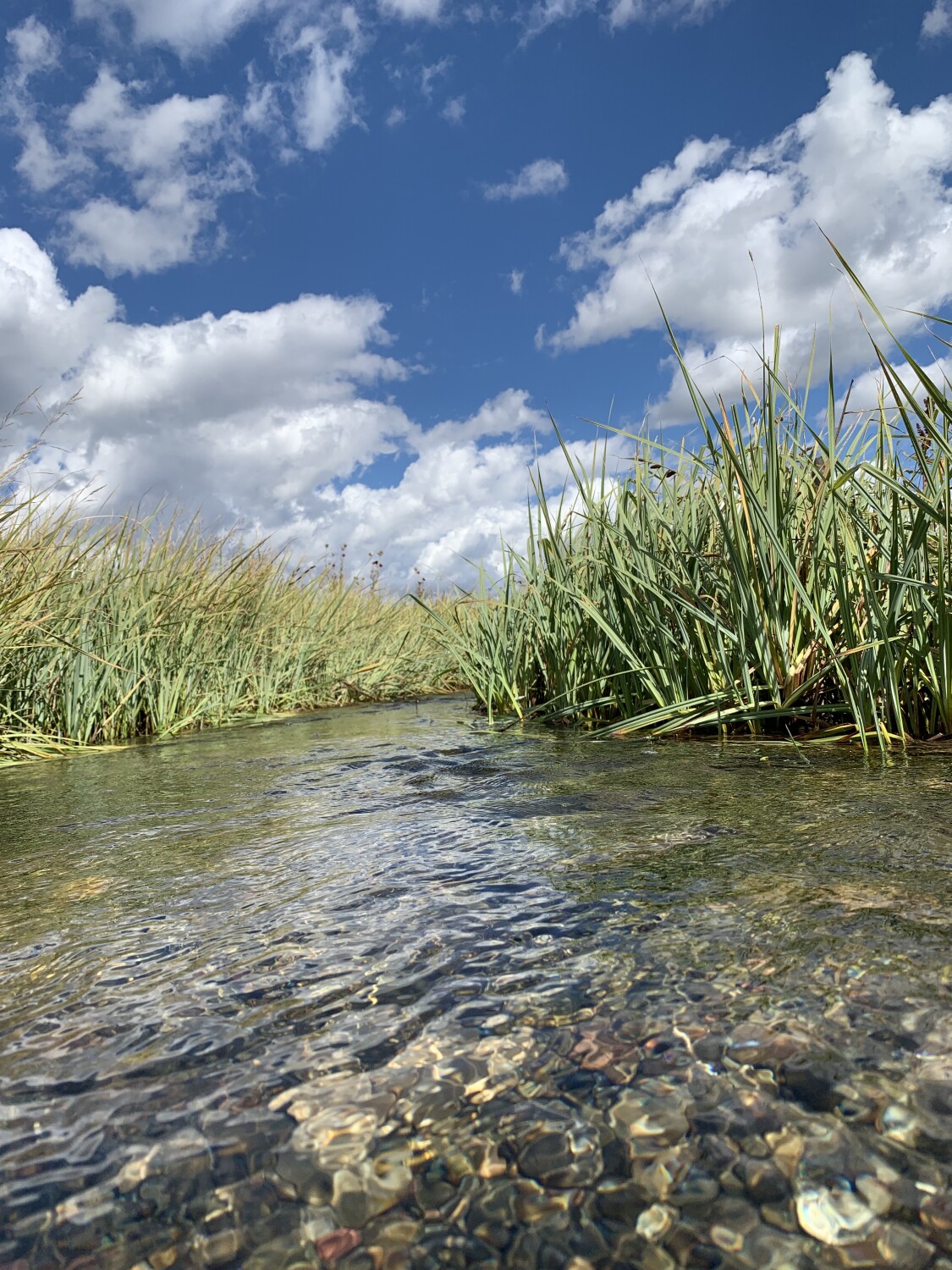 A creek runs through it