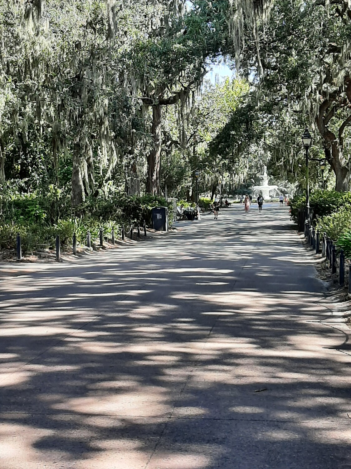Forsyth Park Sqvannah Georgia