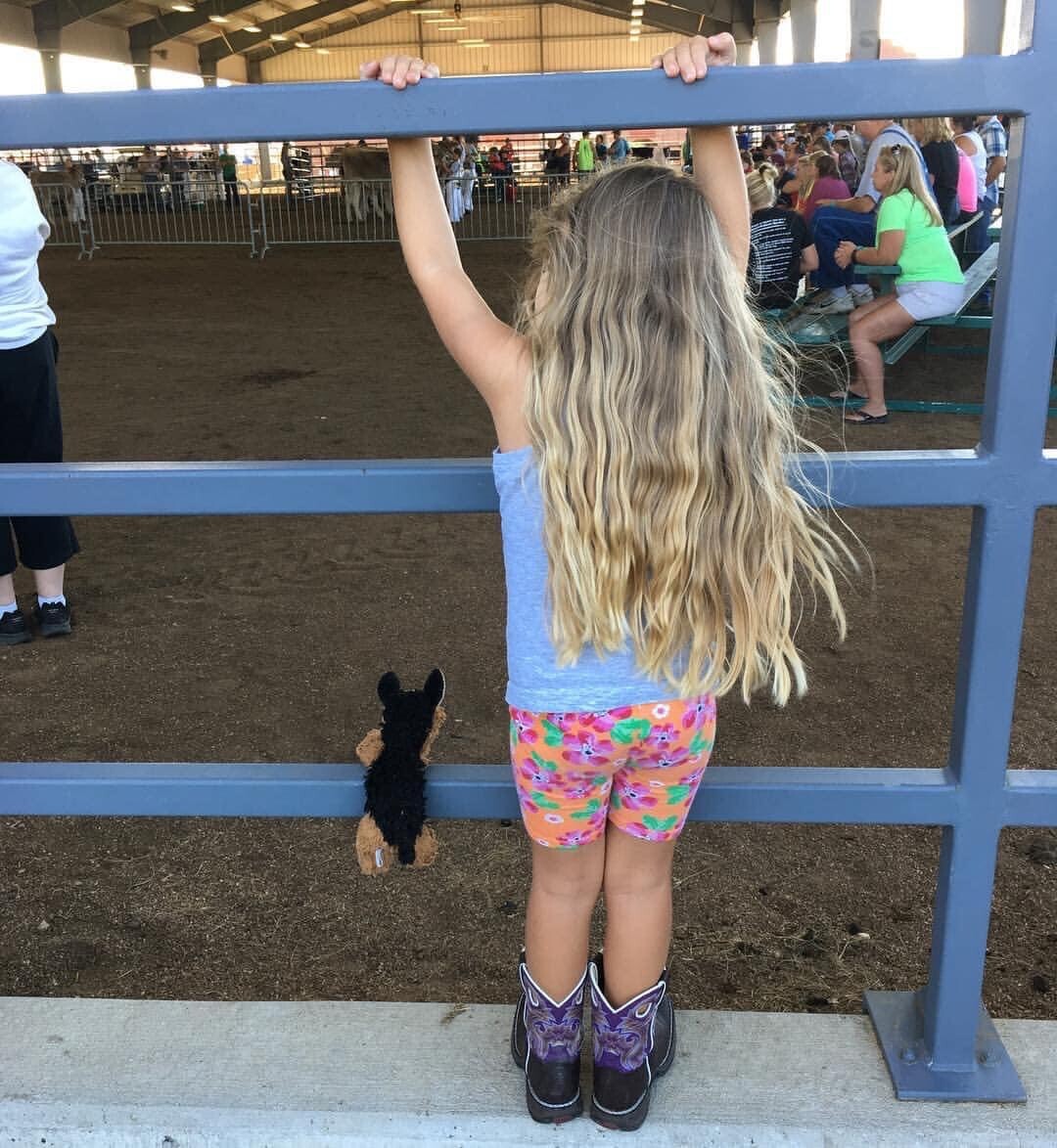 Roo and Hosmer watching the Hoo Hoos