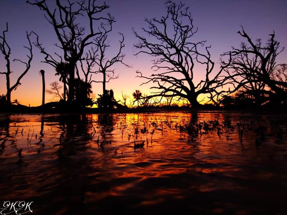 Driftwood Beach Sunset