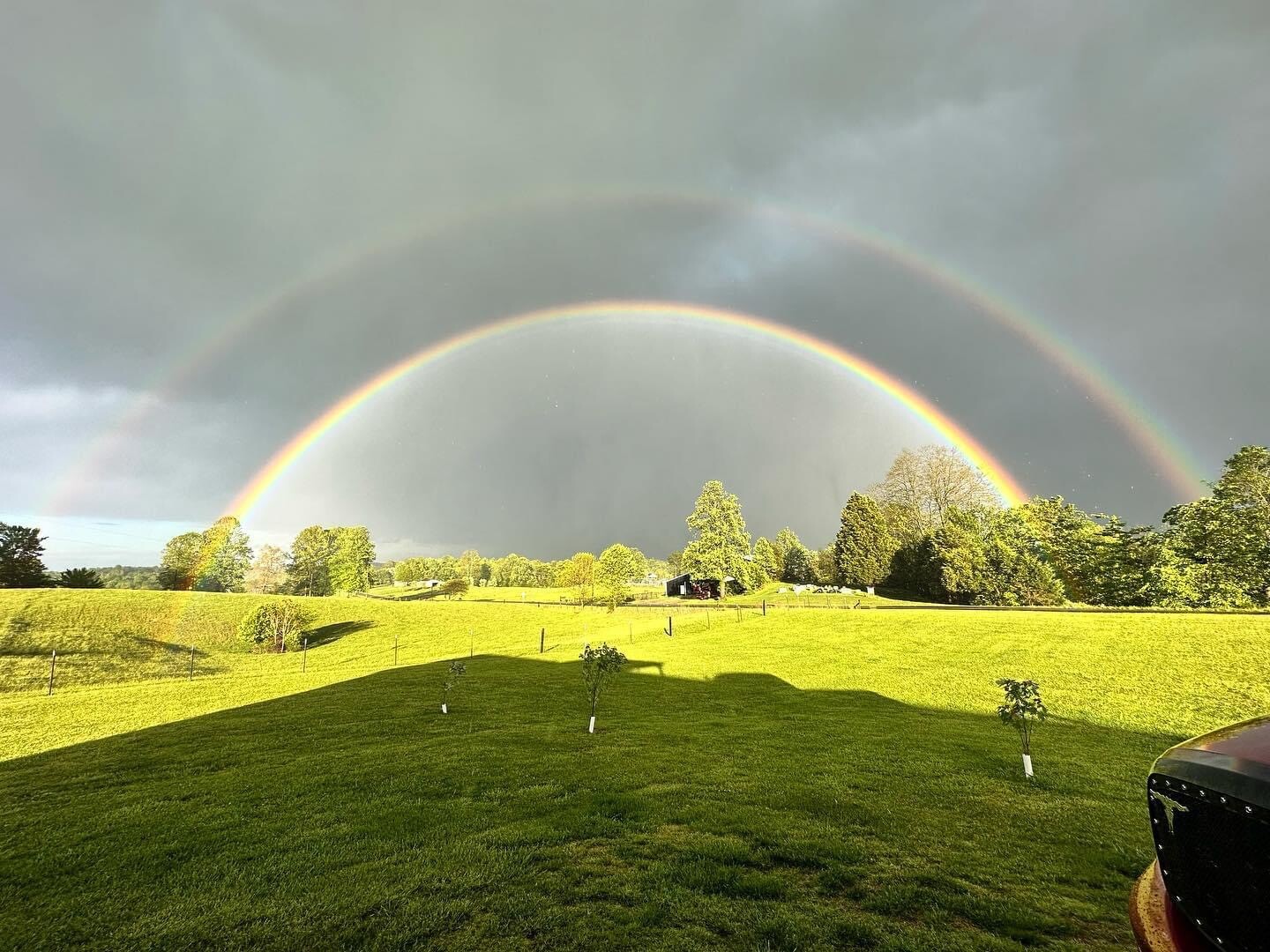 Rainbow In My Yard