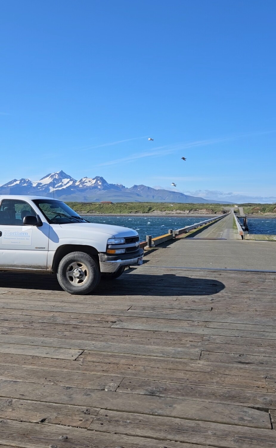 Cold Bay dock frontage