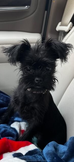 Minerva aka. The Alien.