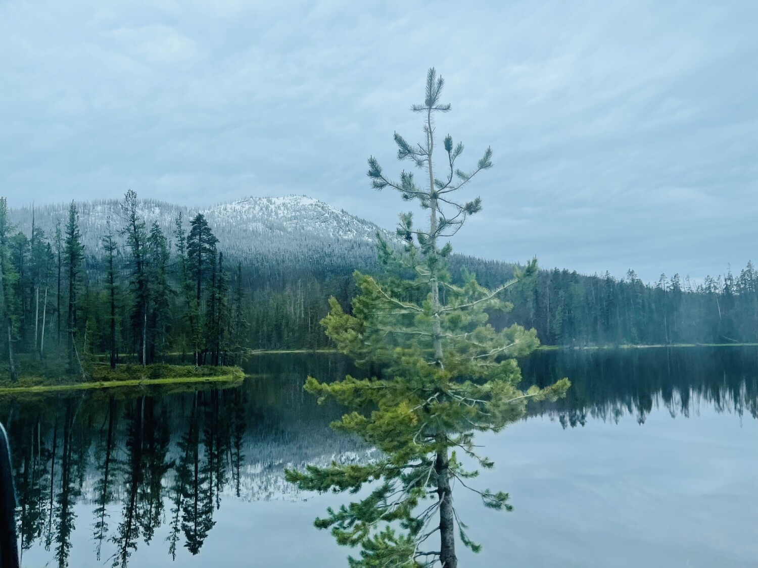 Reflections in Yellowstone