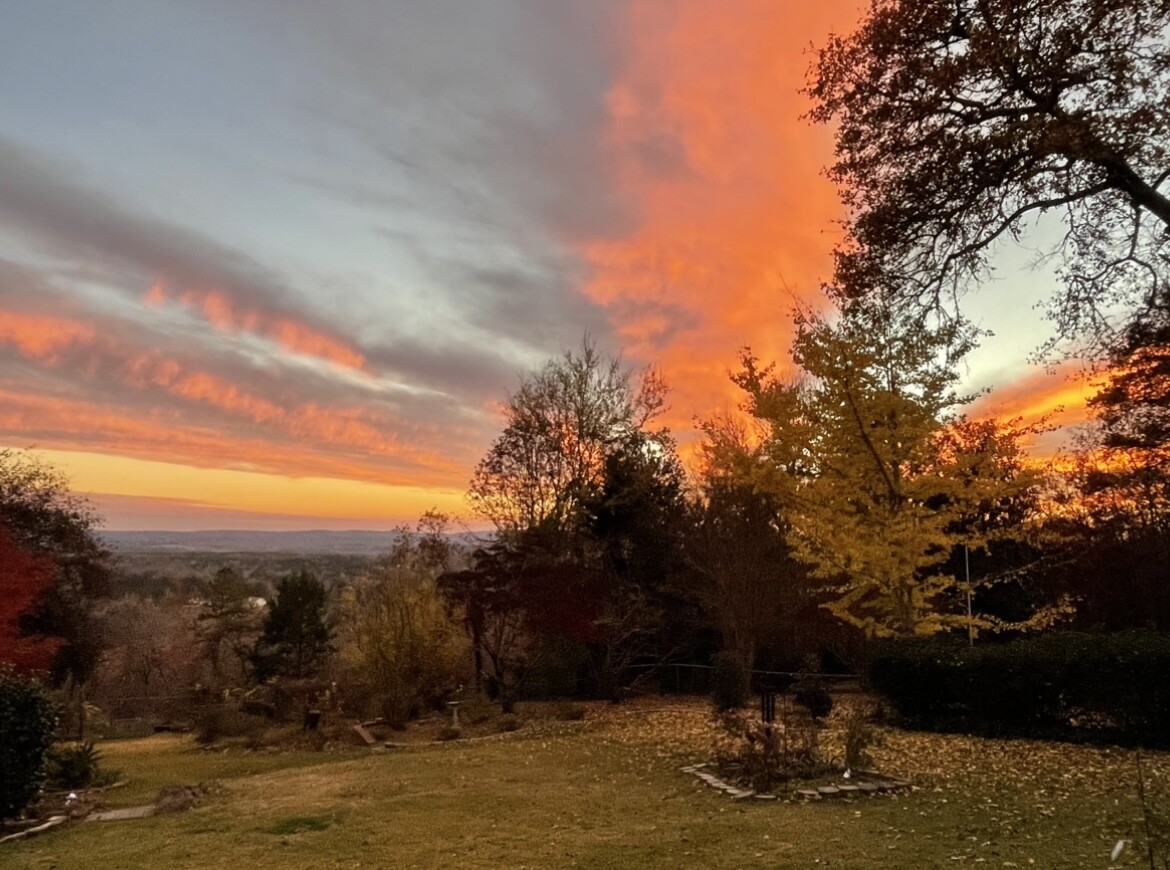 The splendor of December