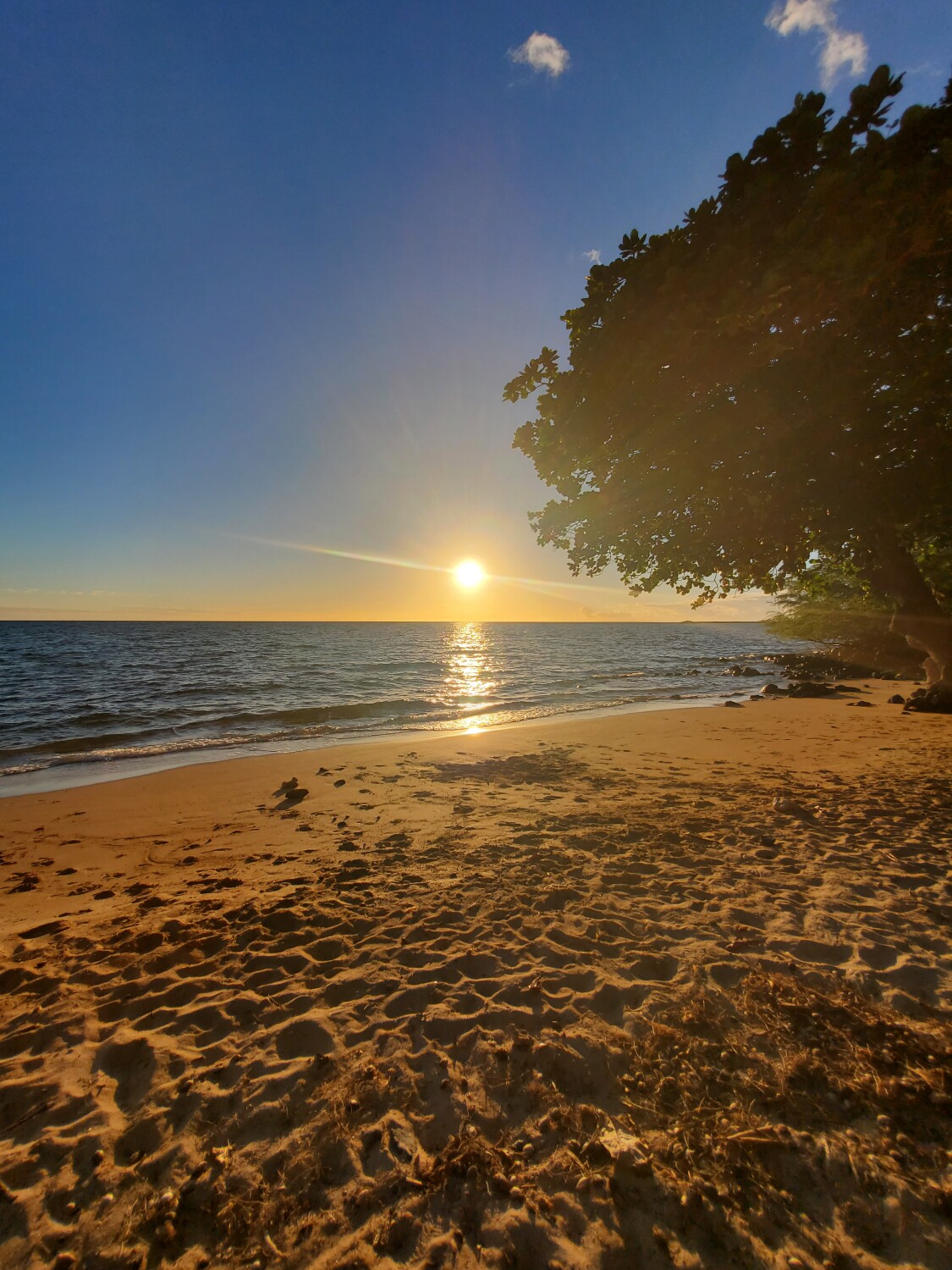 Sunset in Spencer Park