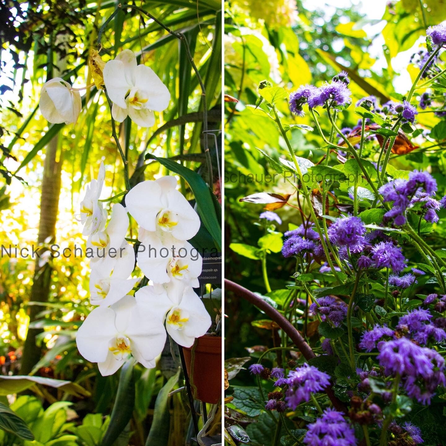 The beauty of nature