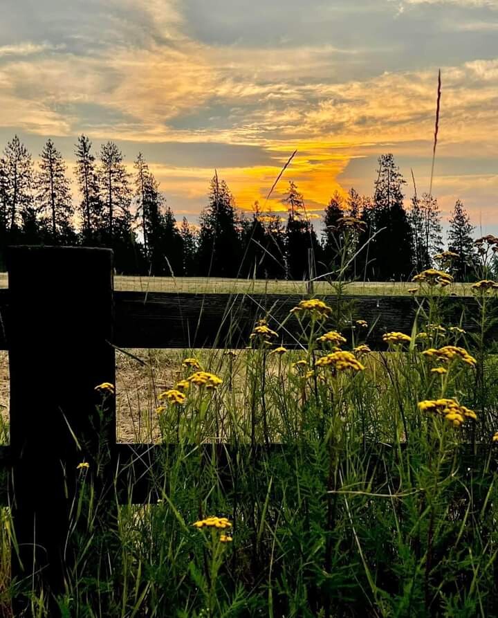 Colours at Summers End