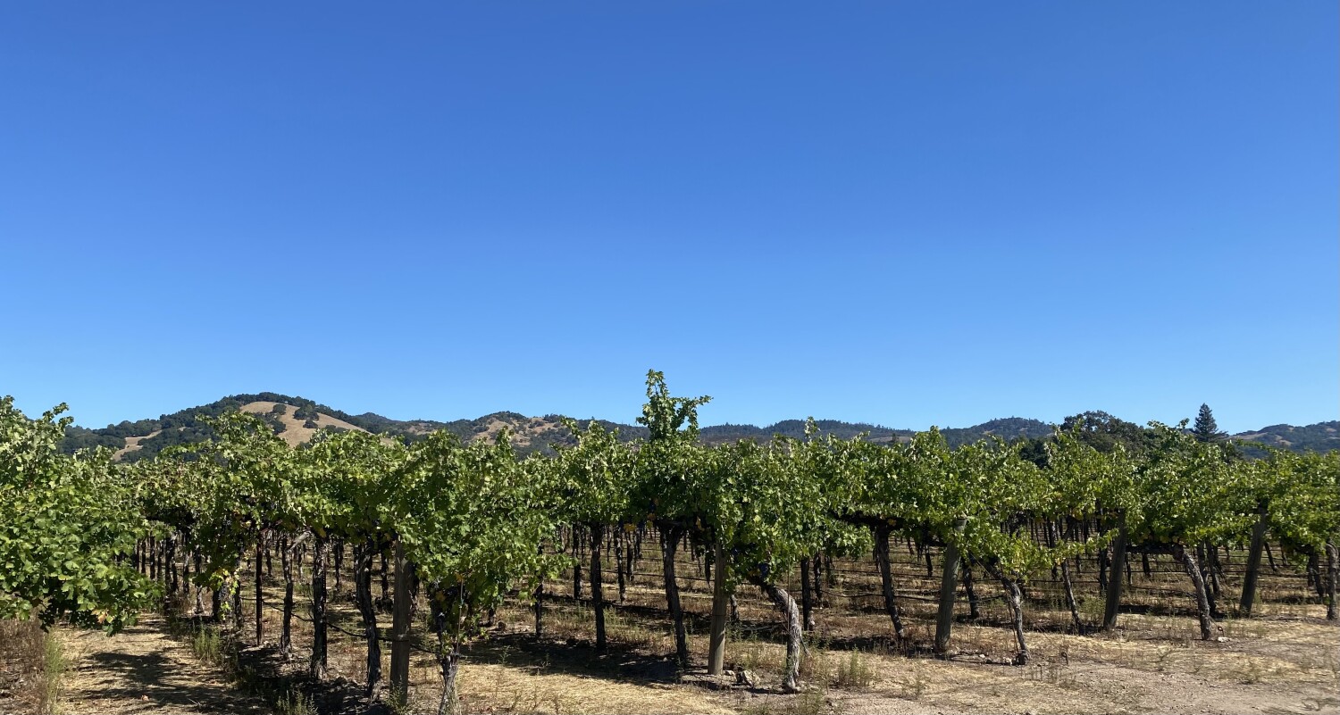 In the Valley of the Moon