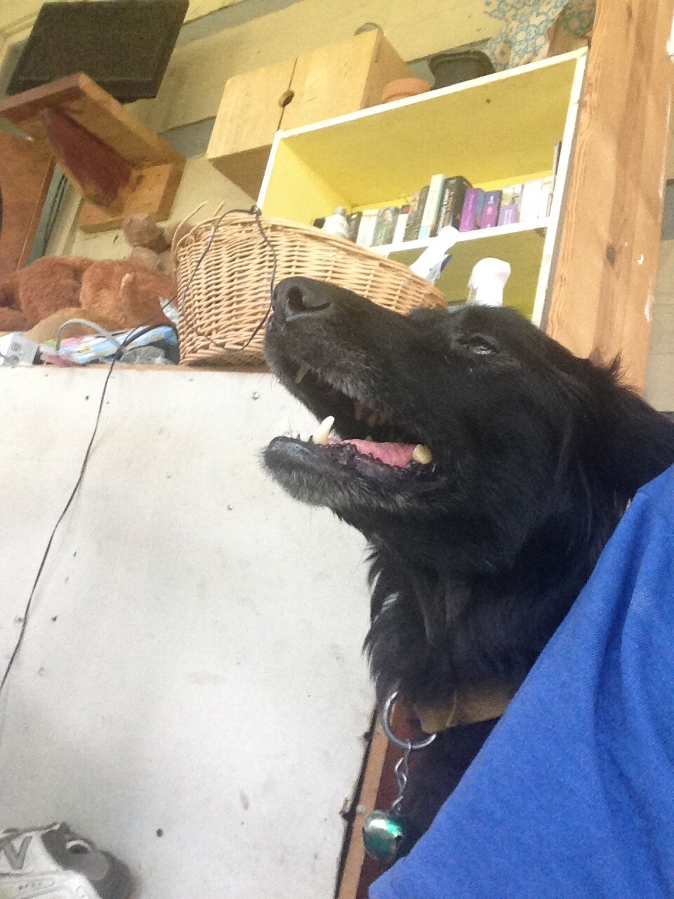 Me and my girl blacky