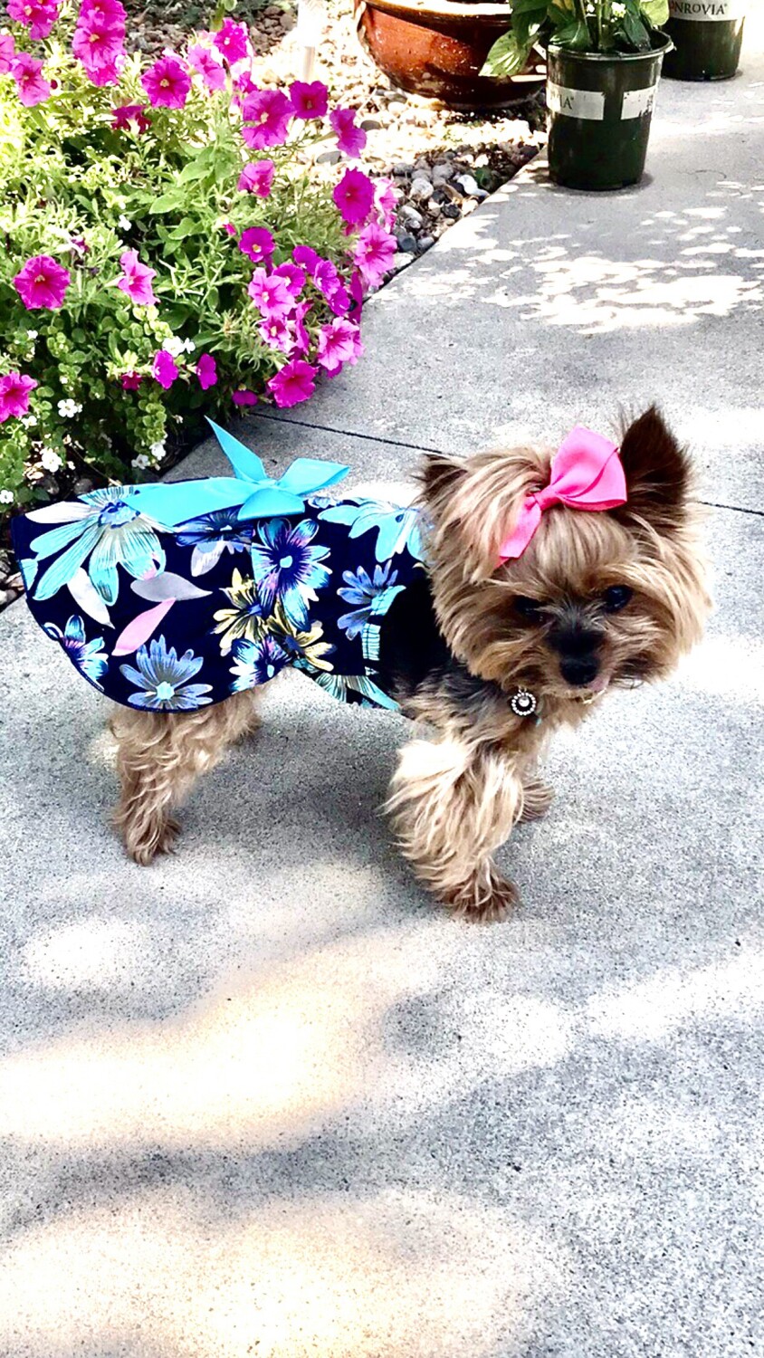 Glory in all her glory!