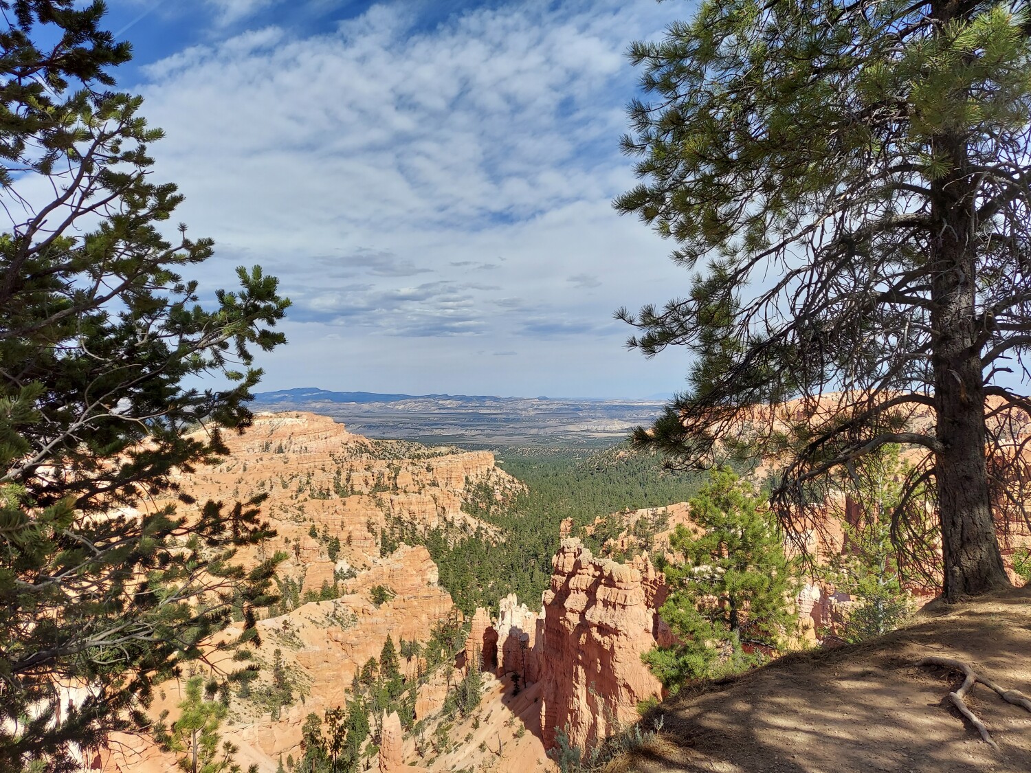 Bryce National Park "My dream "