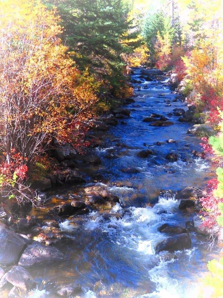 The stream in Crazy Woman Canyon