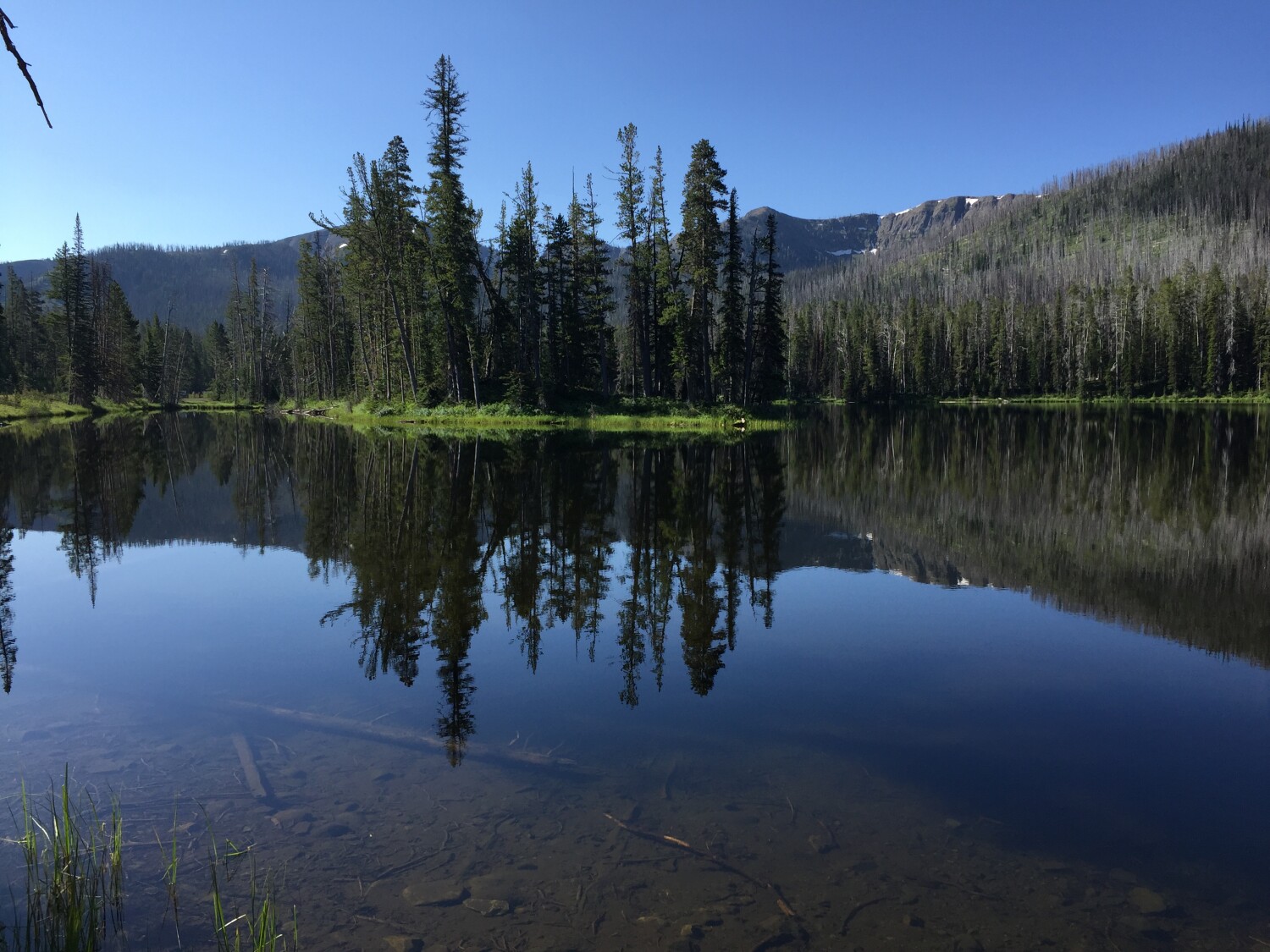 Yellowstone Park in the Spring