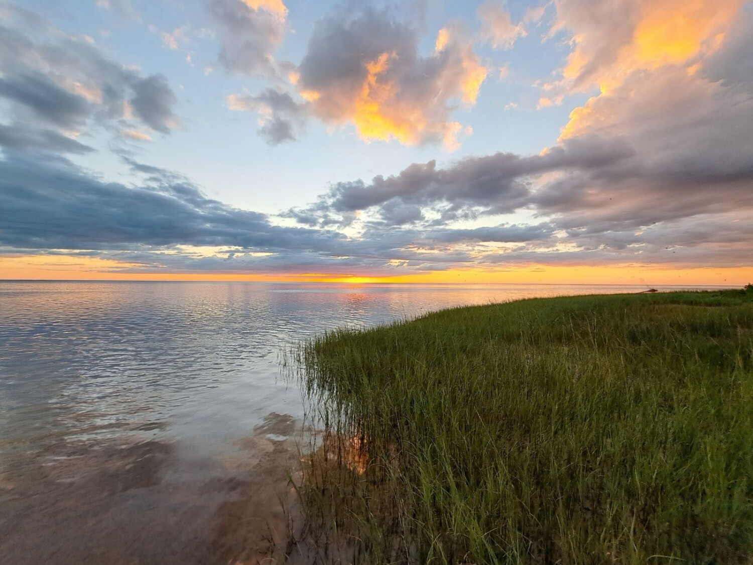 Next place to heaven