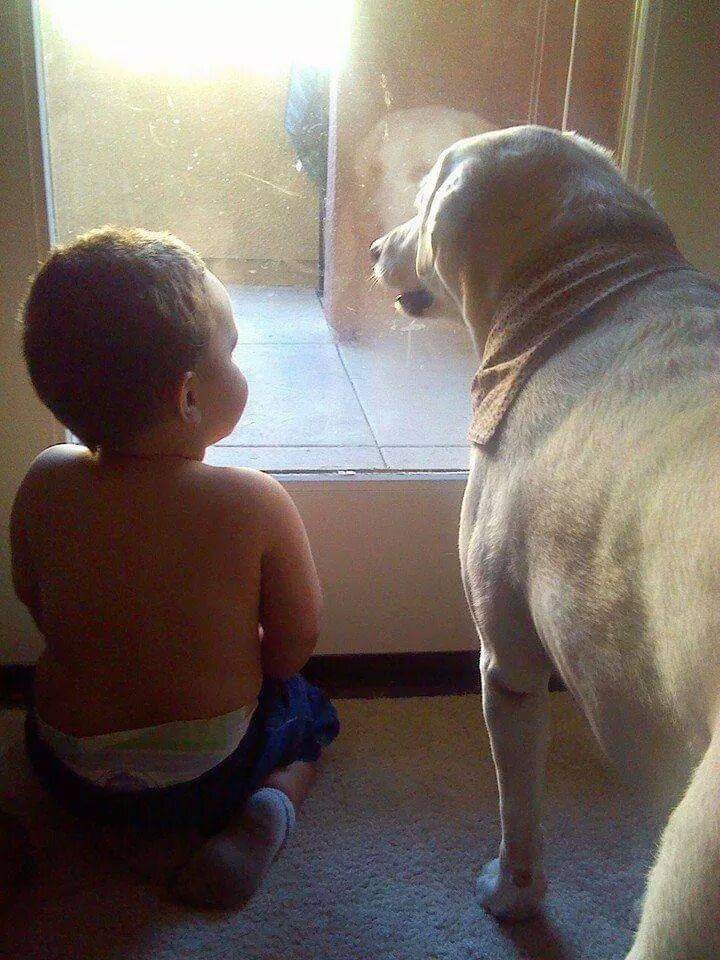 I think we can breakout